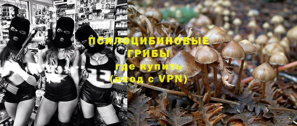 стаф Балахна