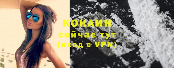 стаф Балахна