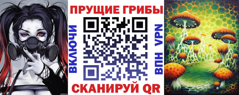 mega онион  Оса  Галлюциногенные грибы Psilocybine cubensis 